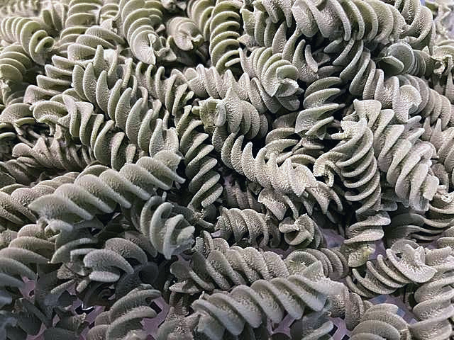 Spinach and Tomato Fusilli